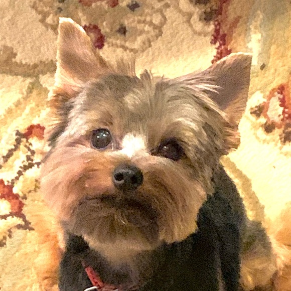 Meet your Posher, Linda - Picture 3 of 3